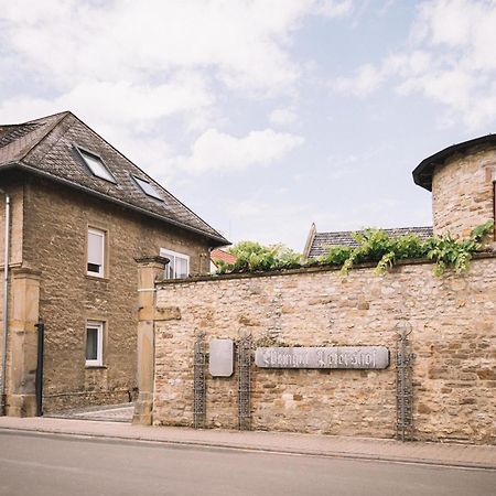 Appartement Weingut Petershof à Alzey Extérieur photo