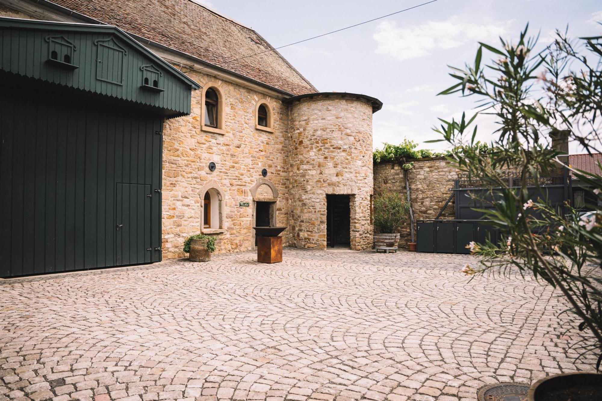 Appartement Weingut Petershof à Alzey Extérieur photo