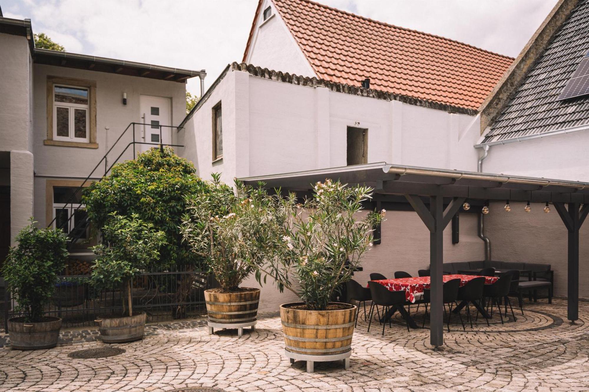 Appartement Weingut Petershof à Alzey Extérieur photo