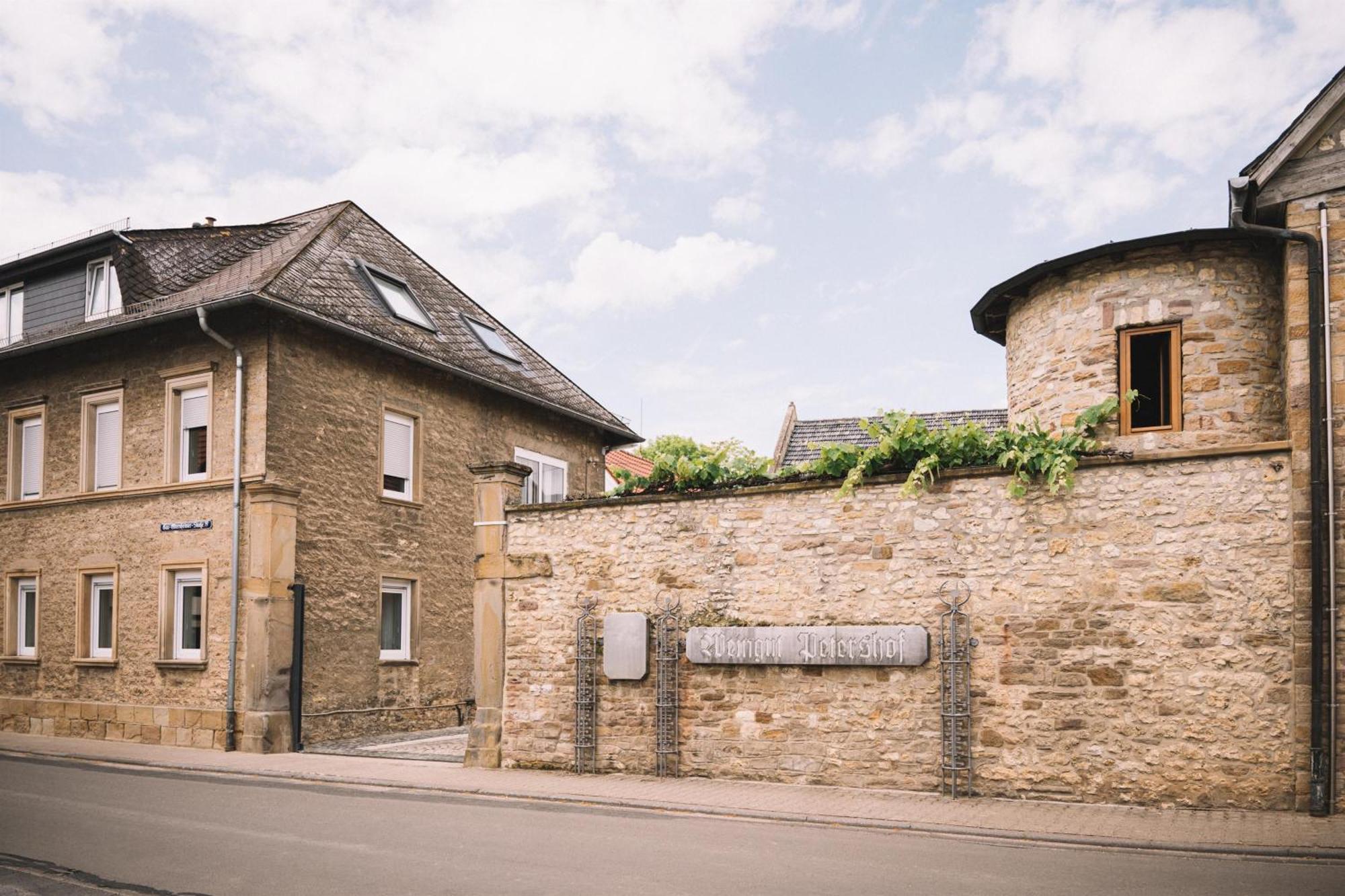 Appartement Weingut Petershof à Alzey Extérieur photo