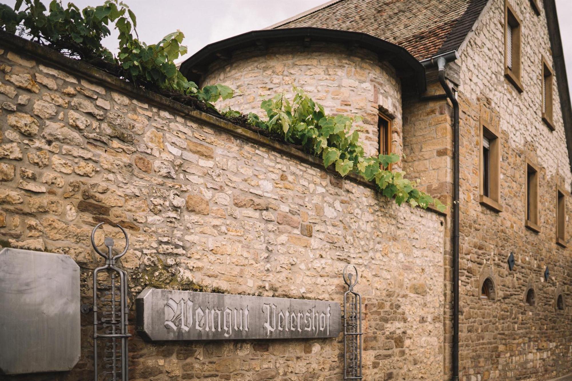 Appartement Weingut Petershof à Alzey Extérieur photo